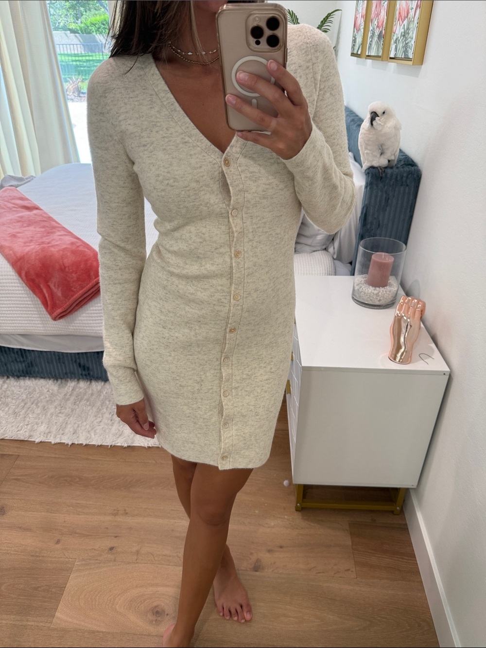 Aritzia Cream Button-Front V-Neck Long Sleeve Knit Dress
